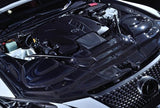 BRITZ JAPAN 2016-2025 LC 500 High-Performance Carbon Air Intake System