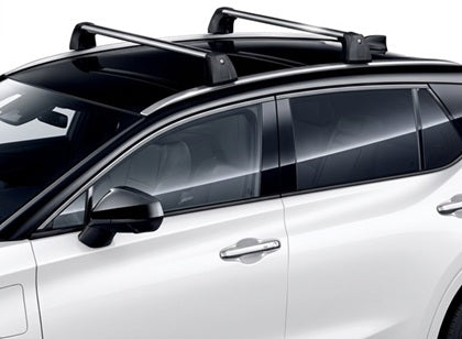 Genuine Lexus Japan 2023-2025 RZ Roof Rack Cross Bars