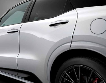 Genuine Lexus Japan 2024-2026 LBX Factory Painted Door Edge Protector Set