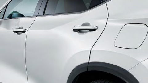 Genuine Lexus Japan 2022-2025 NX Factory Painted Door Edge Protector Set